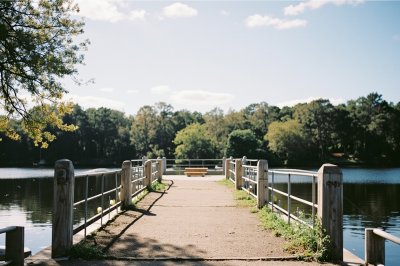 AI-generated travel thumbnail for Jackson