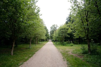 AI-generated travel thumbnail for Järvsö