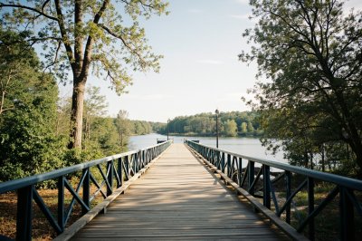 AI-generated travel thumbnail for Jeff Davis County