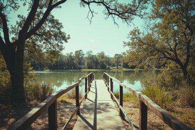 AI-generated travel thumbnail for Jones County