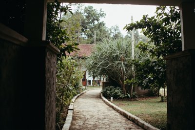 AI-generated travel thumbnail for Kabupaten Bojonegoro