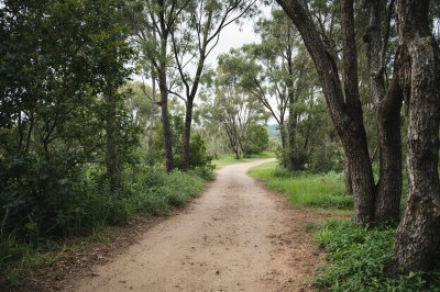 AI-generated travel thumbnail for Kangaroo Flat