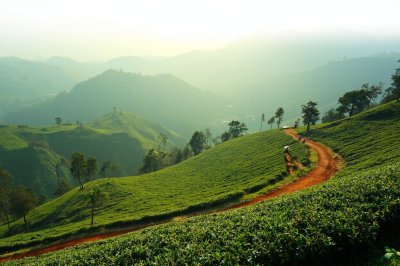 AI-generated travel thumbnail for Kericho