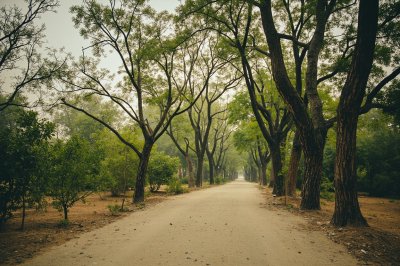 AI-generated travel thumbnail for Khairpur Tamiwali