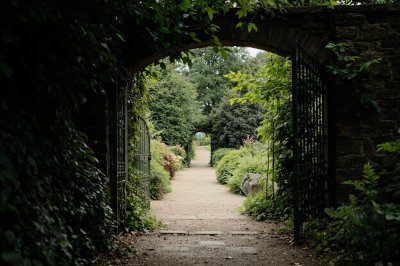 AI-generated travel thumbnail for King's Clipstone