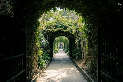 AI-generated travel thumbnail for Kings Park