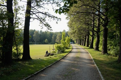 AI-generated travel thumbnail for Knappskog