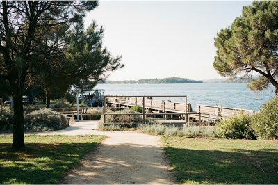 AI-generated travel thumbnail for La Fare-les-Oliviers