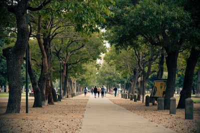 AI-generated travel thumbnail for La Manzanilla