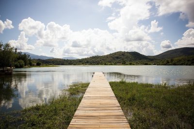 AI-generated travel thumbnail for Lagunillas