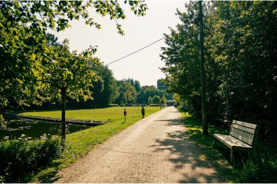 AI-generated travel thumbnail for Langenberg