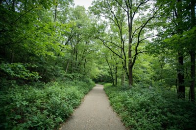 AI-generated travel thumbnail for Lansing