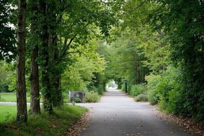 AI-generated travel thumbnail for Laville-aux-Bois