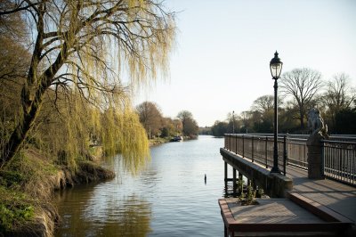 AI-generated travel thumbnail for Le Fenouiller