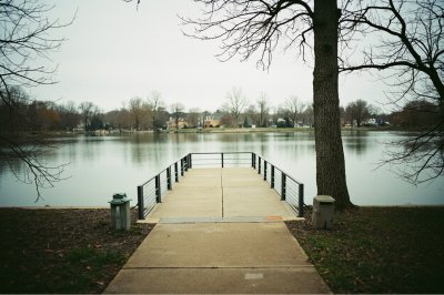 AI-generated travel thumbnail for Leland Grove