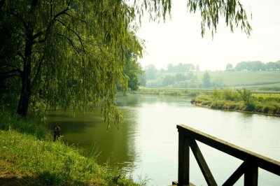 AI-generated travel thumbnail for Les Églisottes-et-Chalaures
