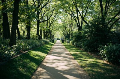 AI-generated travel thumbnail for Lincoln Park
