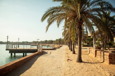 AI-generated travel thumbnail for Linguere Department