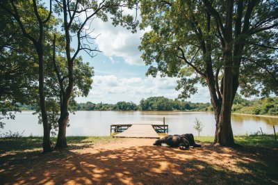 AI-generated travel thumbnail for Livingstonia