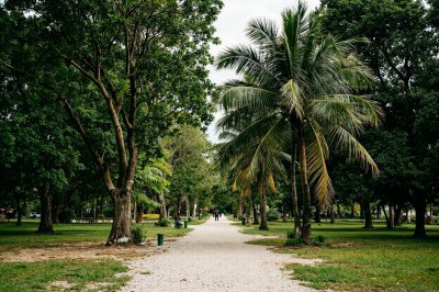 AI-generated travel thumbnail for Longwood