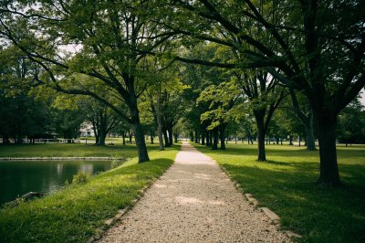 AI-generated travel thumbnail for Lonoke