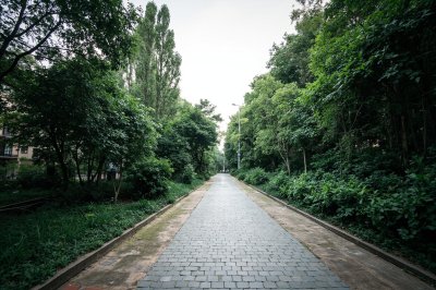 AI-generated travel thumbnail for Maçka