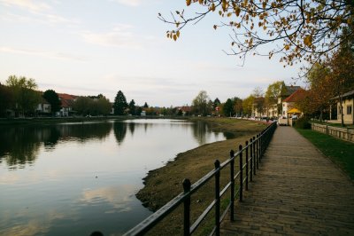 AI-generated travel thumbnail for Măgeşti