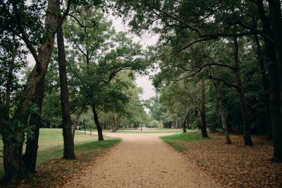 AI-generated travel thumbnail for Magnolia