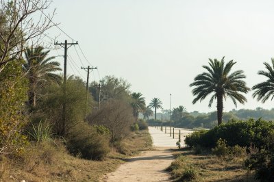 AI-generated travel thumbnail for Malanville