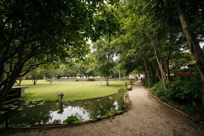 AI-generated travel thumbnail for Mambog