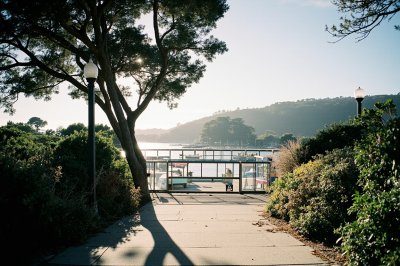 AI-generated travel thumbnail for Marin County