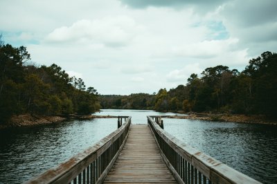 AI-generated travel thumbnail for Marion County