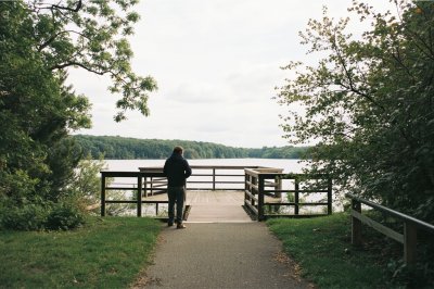 AI-generated travel thumbnail for Marshfield Hills