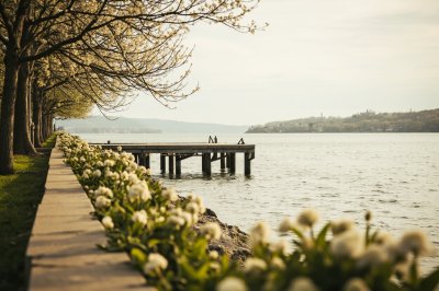 AI-generated travel thumbnail for Mason County