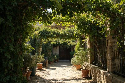 AI-generated travel thumbnail for Maussane-les-Alpilles