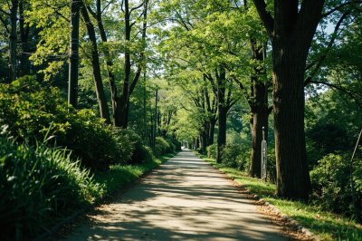 AI-generated travel thumbnail for Maywood