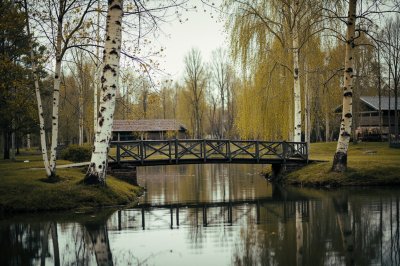 AI-generated travel thumbnail for Melekhovo