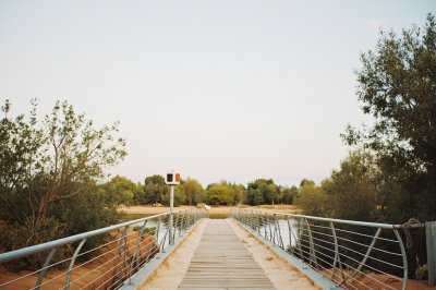 AI-generated travel thumbnail for Metlili Chaamba