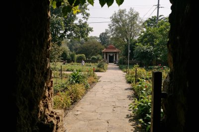 AI-generated travel thumbnail for Mohanpur