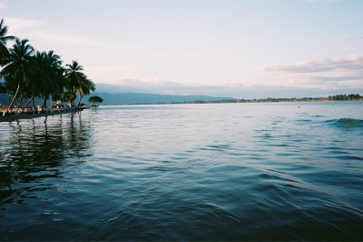 AI-generated travel thumbnail for Monkey Bay