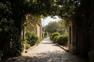 AI-generated travel thumbnail for Monte Santa Maria Tiberina