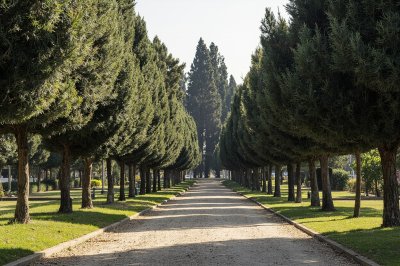 AI-generated travel thumbnail for Morales del Vino