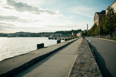 AI-generated travel thumbnail for Moss