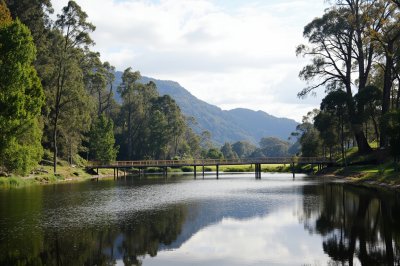 AI-generated travel thumbnail for Mount Dandenong