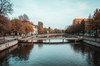 AI-generated travel thumbnail for Münstermaifeld