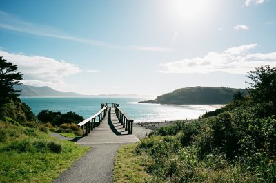 AI-generated travel thumbnail for Muriwai Beach