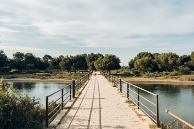 AI-generated travel thumbnail for Negrilla de Palencia