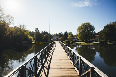 AI-generated travel thumbnail for Neureichenau