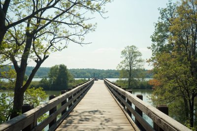 AI-generated travel thumbnail for Newbern