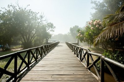 AI-generated travel thumbnail for Nkhaba